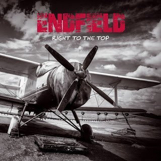 endfield_cover