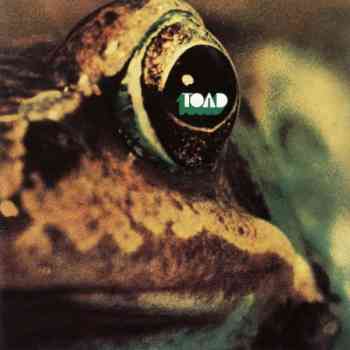 1971 Toad
