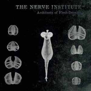 The Nerve Institute - Architects Of Flesh - Density (2011)