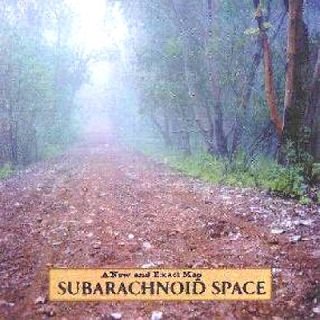 subarchnoidspace_anewandexactmap