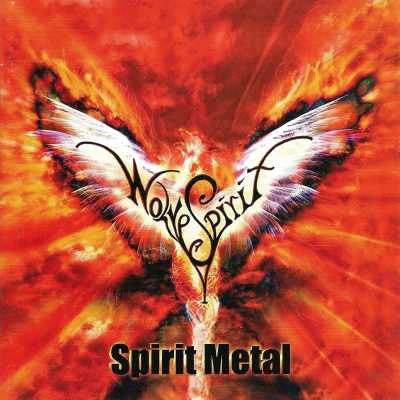 2011 Spirit Metal