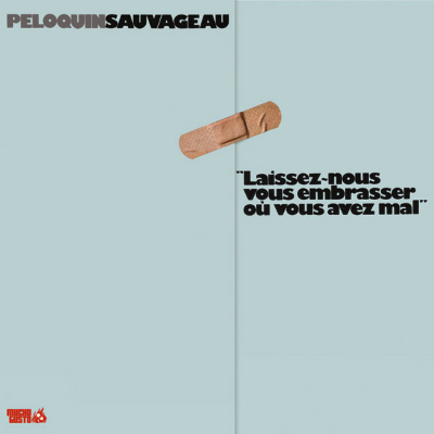 PeloquinSauvageau - Laissez - Nous Vous Embrasser Ou Vous Avez Mal (1972)