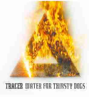 Tracer - Water for Thirsty Dogs