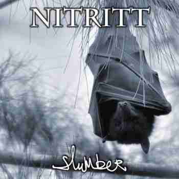 Nitritt - Slumber (2015)