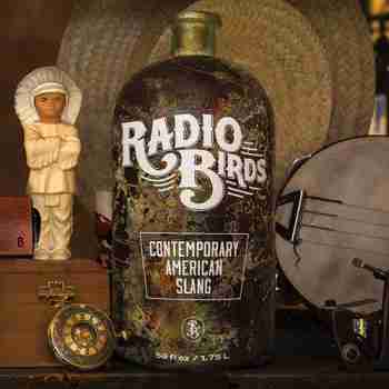 Radio Birds - Contemporary American Slang (2015)