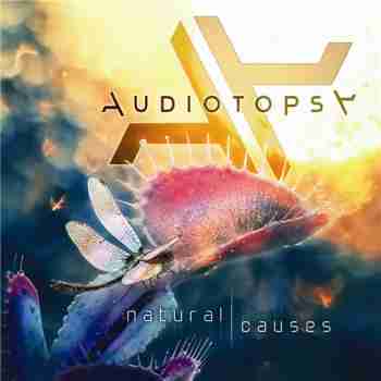 Audiotopsy - Natural Causes