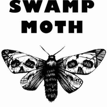 Swamp Moth