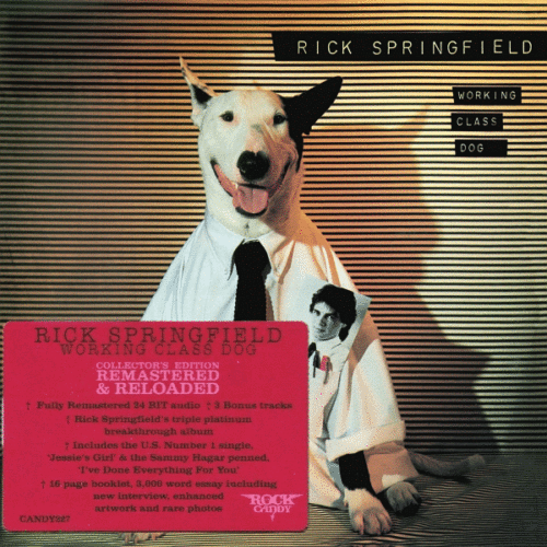 RICK SPRINGFIELD – Working Class Dog [Rock Candy remaster] (2014)