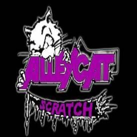 Alleycat Scratch - Discography (1991 - 2013),MP3
