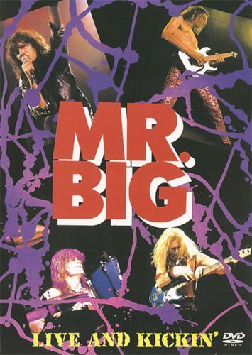  Mr. Big - Live and Kickin' 2001, DVD