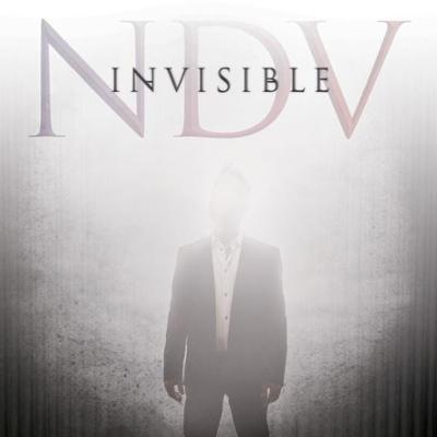 Nick D'Virgilio - Invisible 2020