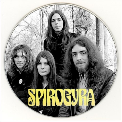 Spirogyra - Collection